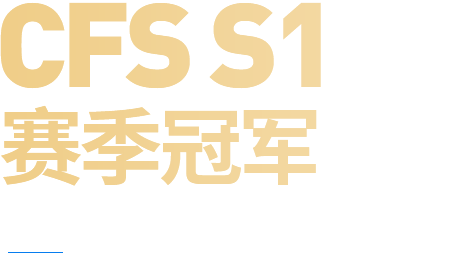CFS2017ھ