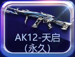 AK12-ã