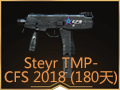 Steyr TMP-CFS 2018