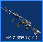 AK12-