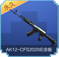 AK12-CFS2020