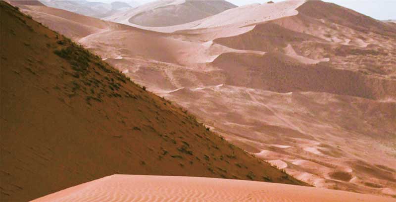 图10 阿拉善沙漠