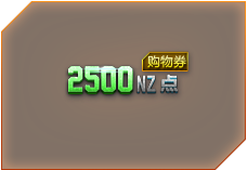 2500NZ㹺ȯ(3)